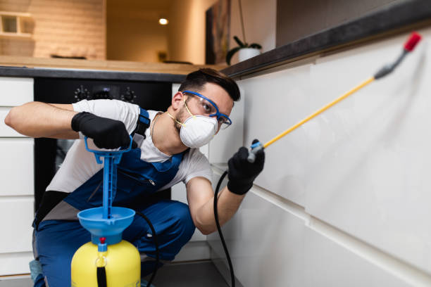 Best Pest Control Near Me  in Itasca, IL