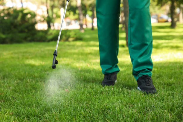 Best Wasp Removal Services  in Itasca, IL
