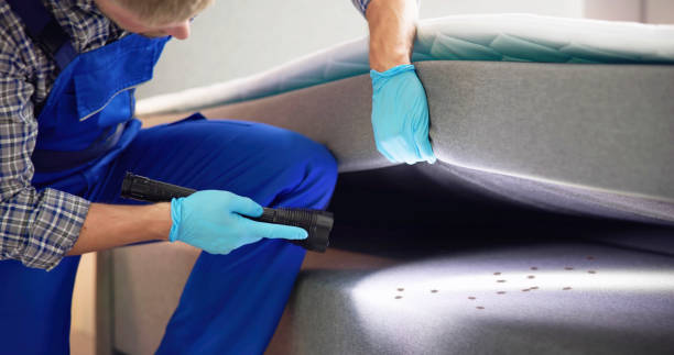 Best Best Pest Control Companies  in Itasca, IL