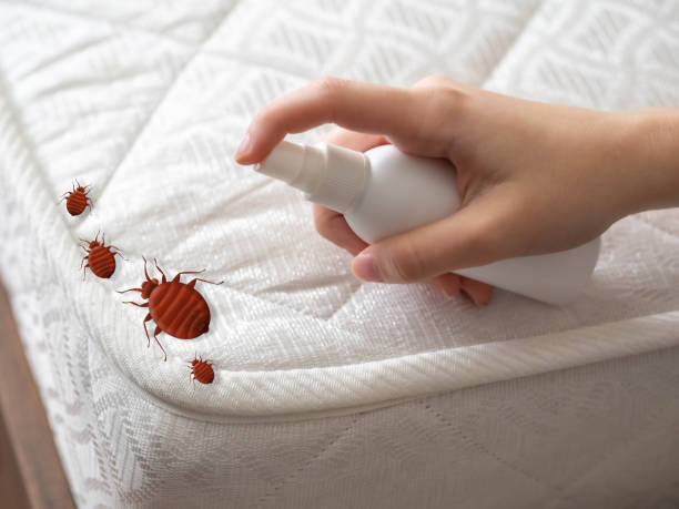 Best Pest Control Near Me  in Itasca, IL