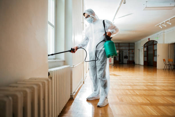 Best Mosquito Control Services  in Itasca, IL