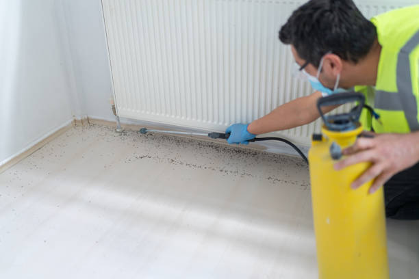 Best Rat Extermination Near Me  in Itasca, IL