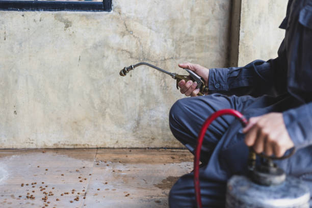 Best Exterminator Services  in Itasca, IL